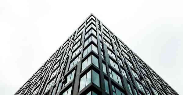 海龟加速器和神龟加速器哪个好