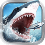 类似布谷的加速器